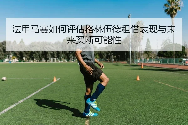 fa-jia-ma-sai-ru-he-ping-gu-ge-lin-wu-de-zu-jie-biao-xian-yu-wei-lai-mai-duan-ke-neng-xing-3-565.jpg