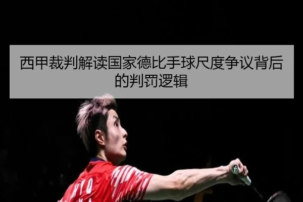 xi-jia-cai-pan-jie-du-guo-jia-de-bi-shou-qiu-chi-du-zheng-yi-bei-hou-de-pan-fa-luo-ji-3-272.jpg